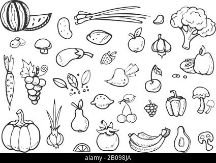 Verdure fresche e icone vettore frutta doodle. Cibo sano disegnato a mano elementi del menu. Cibo vegetariano sano, schizzo di cibo per l'illustrazione del menu Illustrazione Vettoriale