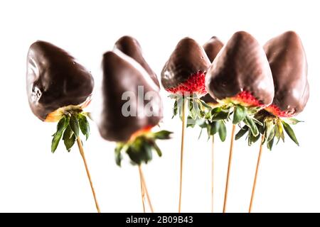 Gruppo di fragole fresche ricoperte di cioccolato fondente su sfondo bianco Foto Stock