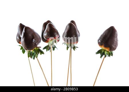 Gruppo di fragole fresche ricoperte di cioccolato fondente su sfondo bianco Foto Stock