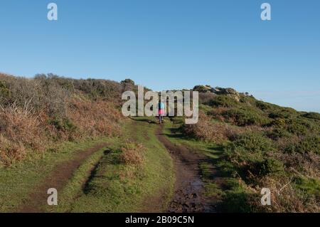 Femmina a piedi su un percorso Di Fango Sporco sul South West Coast Path Tra Lizard Point e Coverack in Rural Cornwall, Inghilterra, Regno Unito Foto Stock