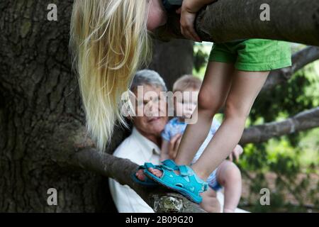 Nonno tiene il suo nipote di 7 mesi, mentre la sua nipote di 3 anni sale un albero Foto Stock