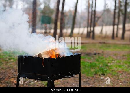 Barbecue con legna da ardere. Caminetto a legna preparato per barbecue. Stagione di grigliatura in natura aperta. Foto Stock