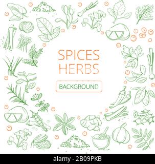 Erbe e spezie disegnate a mano vettore sano piante naturali fondo. Banner con aroma speziato, illustrazione di varie spezie erbe Illustrazione Vettoriale