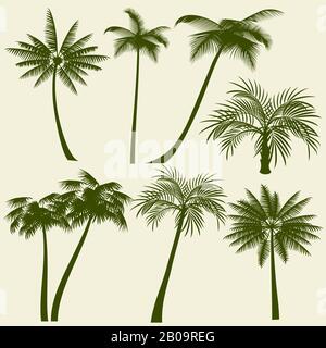 Estate vacanza palme sagome vettore. Palma verde spiaggia tropicale, illustrazione di paradiso delle palme da piante Illustrazione Vettoriale