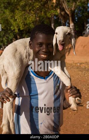 MALI, MOPTI, BANI RIVER BANK, GIOVANE CHE PORTA PECORE Foto Stock