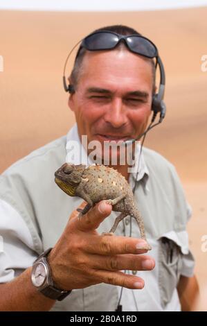 NAMIBIA, VICINO SWAKOPMUND, DESERTO DEL NAMIB, GUIDA NATURALISTICA TOMMY CHE MOSTRA NAMAQUA CHAMELEON AI TURISTI Foto Stock