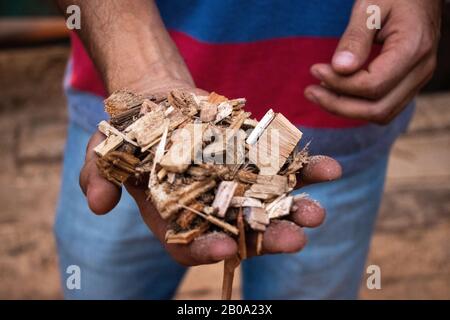 Uomo che mostra trucioli di legno Foto Stock