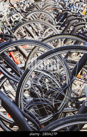 Venlo, Limburg, Paesi Bassi - 13 ottobre 2018: Dettaglio delle ruote delle biciclette parcheggiate. Primo piano foto verticale. Parcheggio olandese per biciclette. Città in bicicletta. Mezzi di trasporto ecocompatibili. Messa a fuoco selettiva. Foto Stock