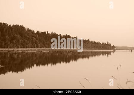 Bellissima Ancora Acqua E Una Fila Di Alberi Evergreen Contro Hazy Morning Sky A Sepia Foto Stock