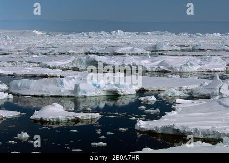 PENISOLA ANTARTICA, VICINO ALL'ISOLA DI ADELAIDE, PACK ICE Foto Stock