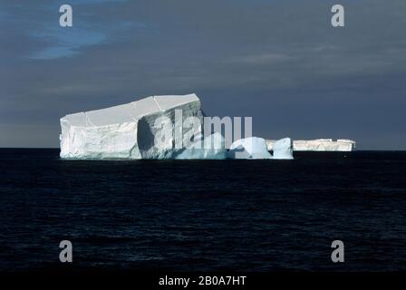 PENISOLA ANTARTICA, VICINO ALL'ISOLA DI ADELAIDE, ICEBERG Foto Stock