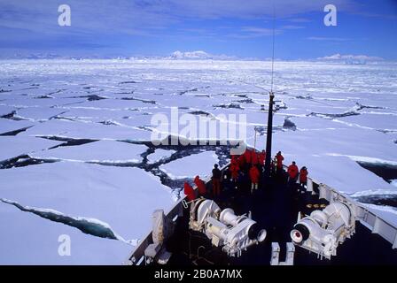 PENISOLA ANTARTICA, VICINO ALL'ISOLA DI ADELAIDE, NAVE DA CROCIERA MS WORLD SCOPRER PASSANDO ATTRAVERSO PACK ICE Foto Stock