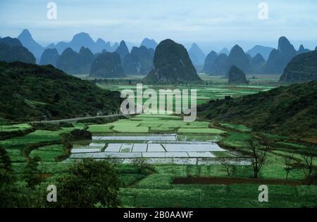 CINA, GUILIN, VISTA DI MONTAGNE DI PIETRA CALCAREA CON CAMPI VICINO AL FIUME LI Foto Stock