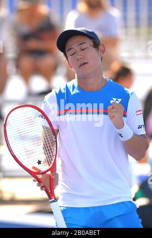 19 febbraio 2020, Delray Beach, Florida, Stati Uniti: 19 febbraio - Delray Beach: Yoshihito Nishioka (JPN) nel celebrare qui, sconfigge Noah Rubin (USA) durante il secondo round al 2020 Delray Beach Open by Vitacost.com in Delray Beach, Florida.(Photo credit: Andrew Patron/Zuma Press Newswire) (Credit Image: © Andrew Patron/ZUMA Wire) Foto Stock