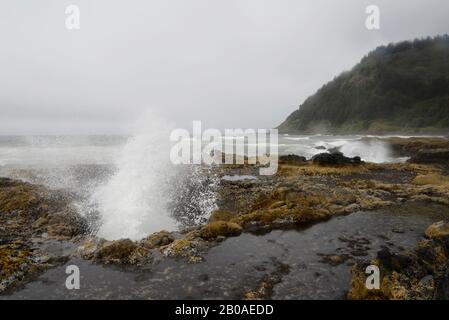 Spruzzare attraverso il pozzo di Thor con la bassa marea sulla costa dell'Oregon. Foto Stock