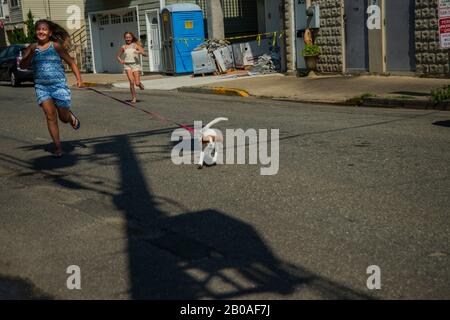 Ragazze che corrono con un cucciolo Foto Stock