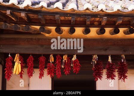 ASIA, COREA, NEI PRESSI DI SEOUL, VILLAGGIO POPOLARE COREANO, FATTORIA, PEPERONI CHE SI ASCIUGANO SOTTO IL TETTO Foto Stock