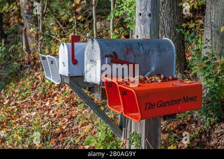 Cassette postali rurali e tubi di carta su una strada di campagna a Templeton, ma Foto Stock