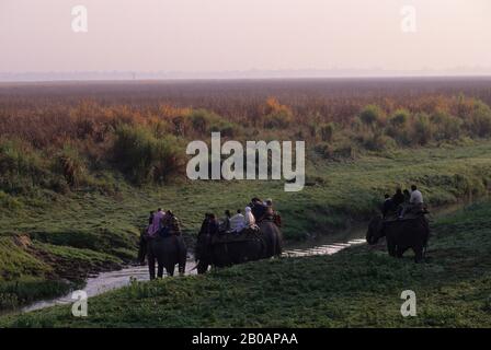 INDIA, PROVINCIA DI ASSAM, PARCO NAZIONALE DI KAZIRANGA, TURISTI SULL'ELEFANTE Foto Stock