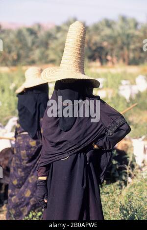 YEMEN, WADI HADRAMAWT, VICINO A SAY'UN, DONNA VELATA CON CAPPELLO, CAPRE CHE SI AMMENDANO Foto Stock