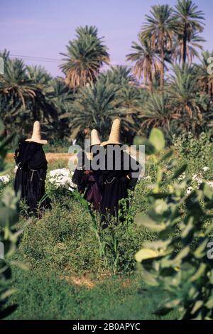 YEMEN, WADI HADRAMAWT, VICINO A SAY'UN, DONNE VELATE CON CAPPELLI, CAPRE CHE ERODONO Foto Stock