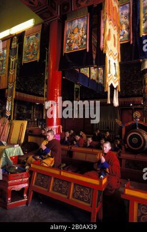 MONGOLIA, ULAANBAATAR, GANDAN HILL MONASTERO, BUDDISMO TIBETANO, SCUOLA, MONACI CANTI Foto Stock