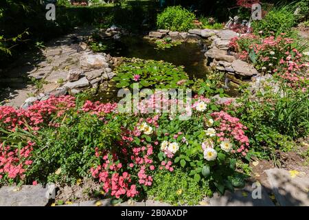 Stagno con ninfea rosa - Gigli D'Acqua e delimitata da rosa e bianco Dianthus - Carnation fiori in cortile residenziale in estate. Foto Stock