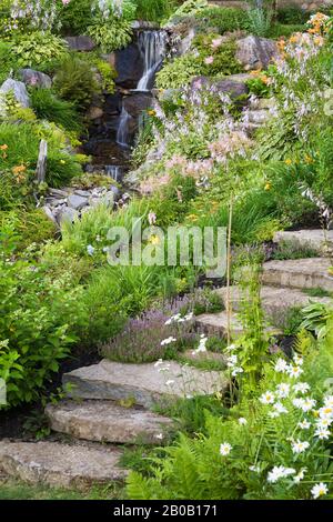 Passi di pietra naturale delimitati da Thymus viola - Thime, giallo e rosso Achillea - Yarrow, Miscanthus - Ornamental Grass, Hosta - Plaintain Lily. Foto Stock