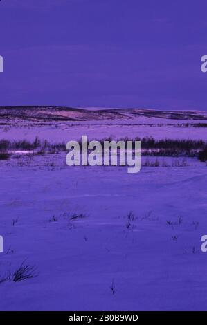 NORVEGIA, FINNMARK, VICINO KARASJOK, METÀ INVERNO, INTORNO A 10AM, PAESAGGIO Foto Stock