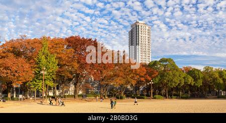 Colori autunnali nel Parco Shirakawa, Nagoya, Giappone Foto Stock