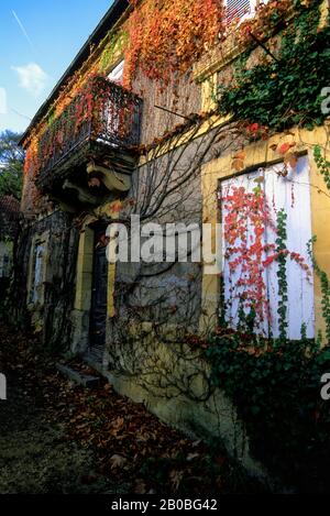 FRANCIA, DORDOGNE ZONA, CRO MAGNON RIPARO, SCENA DI STRADA Foto Stock