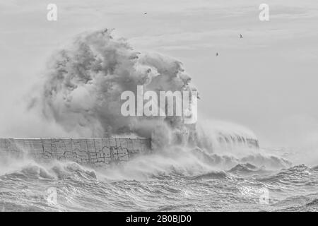 Newhaven, East Sussex. Il tempo del Regno Unito come Storm Ciara offre onde massicce e pioggia battente che hanno colpito l'Inghilterra il 10th febbraio 2020. Foto Stock