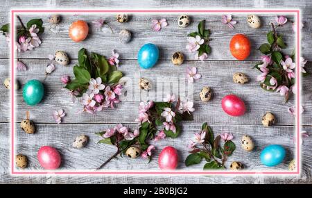 Pasqua festive layout di rosa ramoscelli di Apple, quaglia e uova di gallina colorate su tavolo di legno con cornice rettangolare rosa incandescente sopra. Decoro pasquale Foto Stock