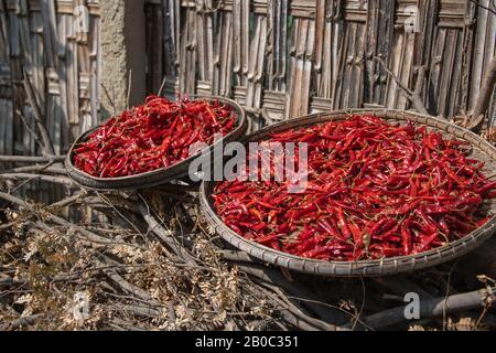 Cesto di bambù con peperoncino rosso su un mucchio di rami di alberi secchi tagliati Foto Stock