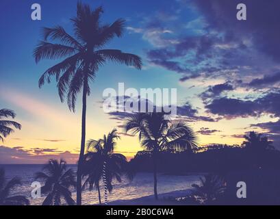 Silhouette di palme da cocco al tramonto, immagine dai colori tondi. Foto Stock