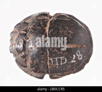 Scarabeo, foca, scarabeo, pietra (nera), 1,2 cm, Egitto Foto Stock