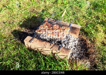 Barbecue con deliziosa carne di pollo alla griglia. Shashlik cucina sopra charcoals caldi all'aperto, Street food Foto Stock