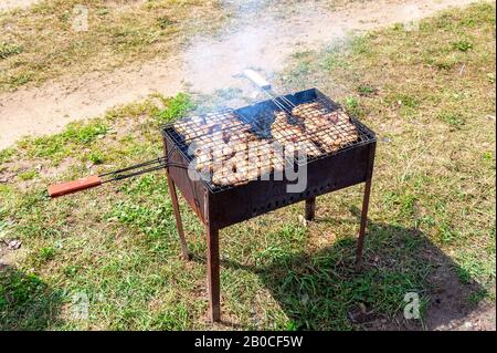 Barbecue con deliziosa carne di pollo alla griglia. Shashlik cucina sopra charcoals caldi all'aperto, Street food Foto Stock