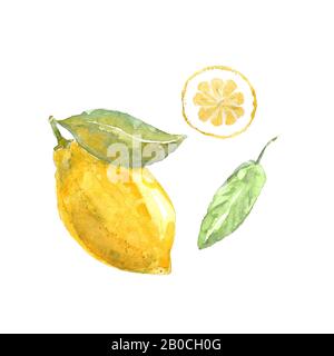 Acquerello dipinto a mano al limone, elemento di design. Foto Stock