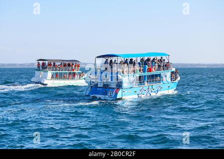 Mirissa, Sri Lanka - 25 dicembre 2019: Escursioni in barca per l'avvistamento di balene e delfini, una delle attività acquatiche più popolari in Sri Lanka. La stagione migliore è f Foto Stock