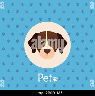 faccia di cane marrone con macchia bianca sullo sfondo con pawprints Illustrazione Vettoriale