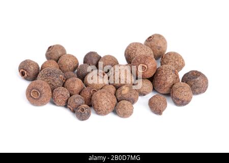 Palo Di Allspice (pepe jamaica) isolato su sfondo bianco. Usato come spezia nelle cucine di tutto il mondo. La pianta è usata anche in medicina. Foto Stock