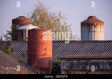 Silos con fienili in serata luce del sole in primavera. Foto Stock