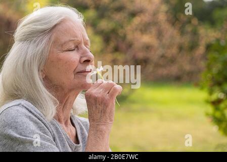 Senior donna odore di fiore in giardino Foto Stock