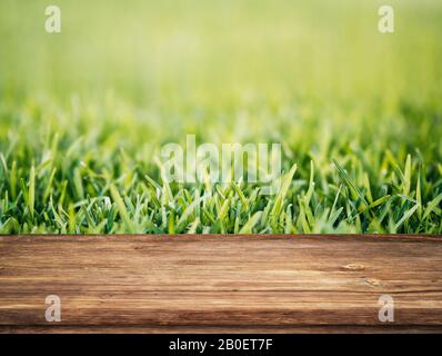 Bella primavera sfondo con verde fogliame e tavolo in legno vuoto in natura all'aperto. Modello naturale con luce solare Foto Stock
