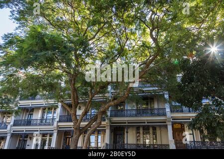 Australian Housing Styles, Victorian, Potts Point, Sydney. Foto Stock