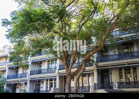 Australian Housing Styles, Victorian, Potts Point, Sydney. Foto Stock