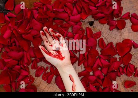 La mano umana coperta di sangue si trova in petali di rosa rossa, omicidio mistero horror o concetto romantico Foto Stock