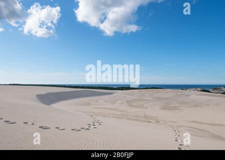Parco nazionale di Slovinski, dune di sabbia di Leba sulla costa baltica Foto Stock