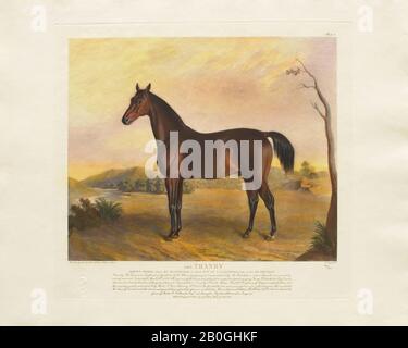 La testa di Gosden, Dopo Edward Troye, (americano, 1808–1874), Tranby, Da Venti stampe Colorate A Mano dopo Dipinti Originali di Famosi Thoroughbreds americani di Edward Troye (1808–1874), 1932, Mezzotint su carta, immagine: 12 5/16 x 14 13/16 in. (31,2 x 37,7 cm Foto Stock